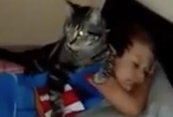 Реакция кота на возвращение хозяина, который отсутствовал три дня (видео)