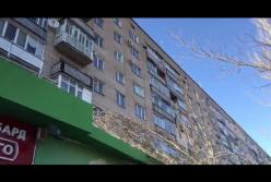 В Запорожской области на супермаркет упало дерево (видео)