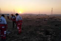 Свидетели рассказали о крушении самолета МАУ (видео)