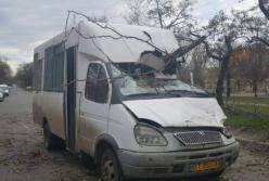 В Николаеве дерево рухнуло на переполненную людьми маршрутку, пострадали дети (видео)