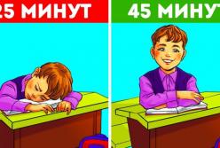Почему уроки в школе длятся именно 45 минут (видео)