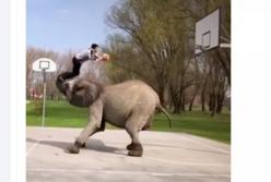 Вы такого еще не видели! Безграничные человеческие возможности (видео)