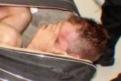 10 самых гениальных контрабандистов: безумные идеи (видео)