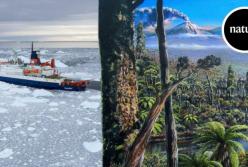 Ученые нашли в Антарктиде следы тропического леса (видео)