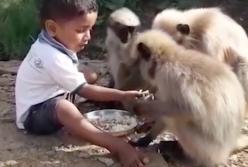 Обезьяны будят этого ребенка каждое утро в 6 часов: зачем? (видео)