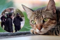 В Харькове женщина убила кошку и пошла с ней гулять (видео)