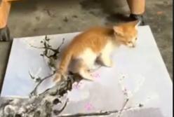 Котенок научился рисовать картины и создал шедевр (видео)