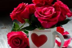 Водка, кола или вода: чем лучше напоить розы? (видео)