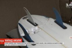 В США большая акула напала на серфера: как юноше удалось спастись (видео)