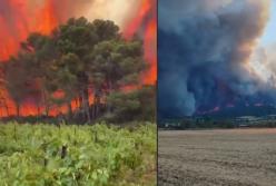 Європа у вогні: кілька країн охопили масштабні лісові пожежі через аномальну спеку (відео)