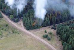 Пожары в Луганской области показали с беспилотника (видео)