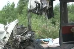 Новые подробности аварии под Житомиром: полиция задержала владельца маршрутки (видео)