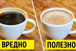 Факты о кофе, которых вы, скорее всего, не знали (видео)