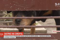 Бойцовская собака насмерть загрызла женщину в Николаеве (видео)