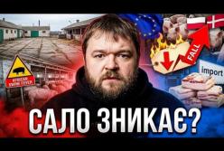 Українців годують імпортним салом: причина здешевлення продукту та стратегічні провали галузі