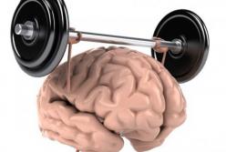 Ученые объяснили, как наш мозг запоминает? (видео)