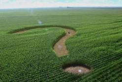 Названа стоимость гектара земли после открытия рынка (видео)