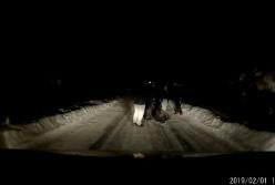 Пьяный подросток валялся посреди дороги под Харьковом (видео)