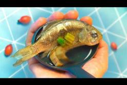 Как прожить целый день - на 0 рублей! (видео)