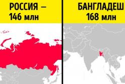 14 любопытных фактов мировой статистики