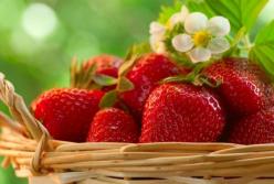 Сколько нитратов в ранней клубнике? (видео)