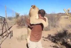 Видео доказывающие, что у животных тоже есть чувства (видео)