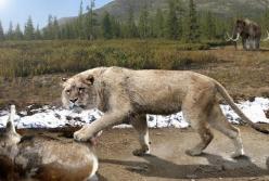 Ученые клонируют вымершего пещерного льва (видео)