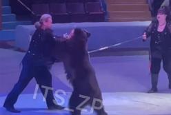 У цирку Запоріжжя ведмідь напав на дресирувальника (відео)