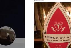 ​Илон Маск зарегистрировал новый бренд Teslaquila (видео)