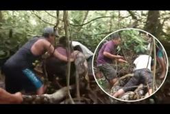 Толпа рыбаков сражалась с гигантским питоном (видео)
