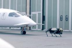 Робот-пес сдвинул с места пассажирский самолет (видео)