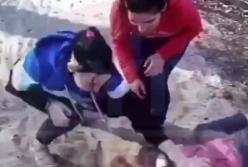 На Киевщине жестоко избили девушку (видео)