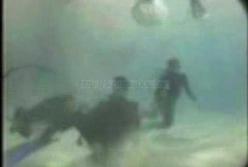 Момент смерти Стива Ирвина: куда исчезли кадры его смерти (видео)