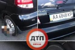 В Киеве водитель оставил труп кота под автомобилем (видео)