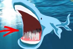 Кто самый большой на Земле? Вы очень удивитесь (видео)