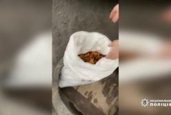 На Ровенщине главу сельсовета задержали с 30 кг янтаря (видео)