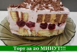 Покорит вкусом и нежностью: самый быстрый и простой торт без выпечки (видео)