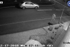 Драматичный момент: хозяин под Рождество бросил на улице своего пса (видео)