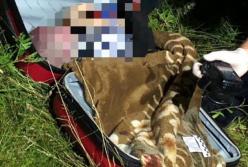 Ребенок в чемодане: горе-мать объяснила свой жуткий поступок (видео)