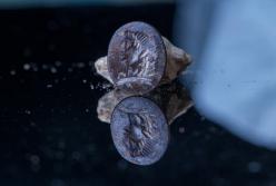 Археологи обнаружили печать с изображением древнегреческого бога, которой 2 тысячи лет (видео)