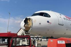 У Мадриді великий птах врізався у літак і серйозно пошкодив його (відео)