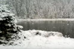 Лыжный сезон открыт: в Карпатах снег и мороз (видео)