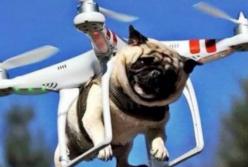 Ужасные кадры, снятые дронами (видео)