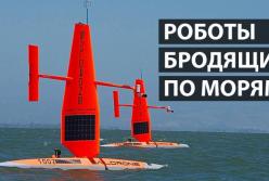Роботы, которые блуждают по открытым морям (видео)
