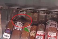 В харьковском магазине по колбасе бегала мышь (видео)