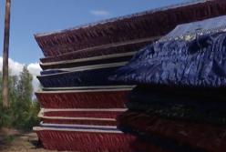 Жуткая находка: 12 выкопанных могил и гробов нашли под Киевом (видео)