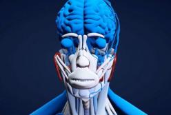 Простые трюки, которые принесут вам успех в работе и отношениях (видео)