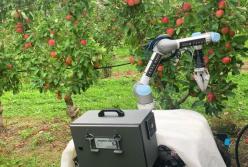 В Австралии создали робота для сбора урожая яблок (видео)