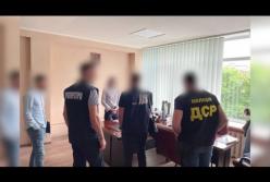 Разоблачены махинации с заповедными землями в Ивано-Франковской области (видео)