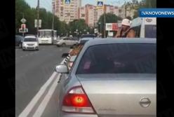 На оживленной дороге из машины выпрыгнул тигр (видео)